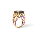 Apollonian Ring