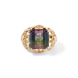 Apollonian Ring