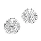 Schumann Harmonics Earrings