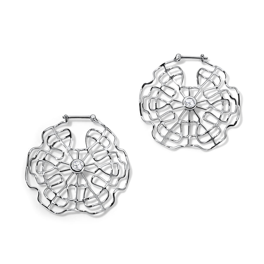 Schumann Harmonics Earrings